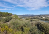 Terreno no urbanizable en venta en la España, Móra d'Ebre, ref: TR361208 foto