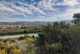 Móra d'Ebre 9484&nbsp;m² 