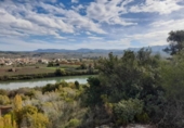 Terreno no urbanizable en venta en la España, Móra d'Ebre, ref: TR361208 foto
