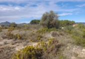 Terreno no urbanizable en venta en la España, Móra d'Ebre, ref: TR361208 foto