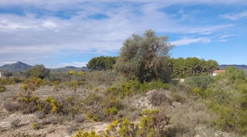 Tarragona - Móra d'Ebre - 9484m2