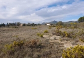 Terreno no urbanizable en venta en la España, Móra d'Ebre, ref: TR361208 foto