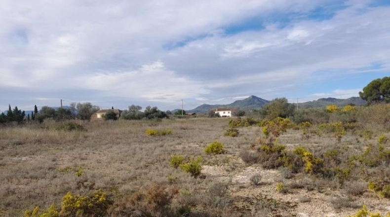 Tarragona - Móra d'Ebre - 9484m2