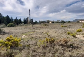 Móra d'Ebre 9484&nbsp;m² 