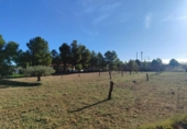 Urban land for sale on España, Almansa, ref: TR380736 photo