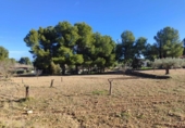 Urban land for sale on España, Almansa, ref: TR380736 photo