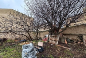 Alberite de San Juan 434&nbsp;м²