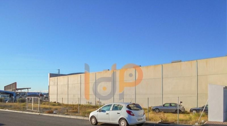 Almería - Albox - 700m2