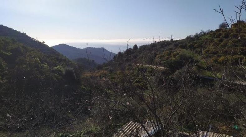 Malaga - Нерха - 9000m2