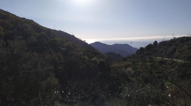 Malaga - Нерха - 9000m2