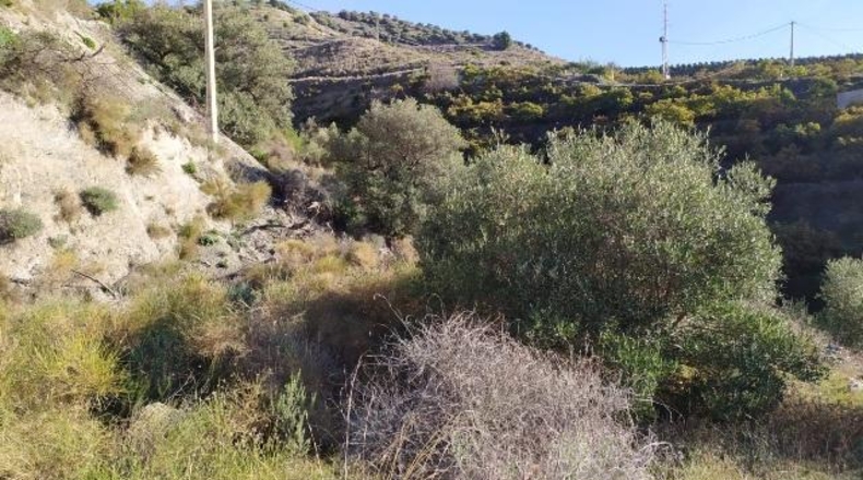 Malaga - Нерха - 9000m2