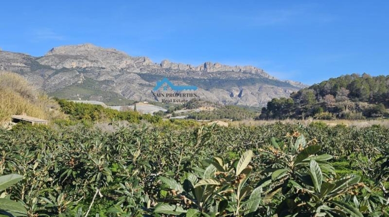 Alicante - Altea - 4220m2
