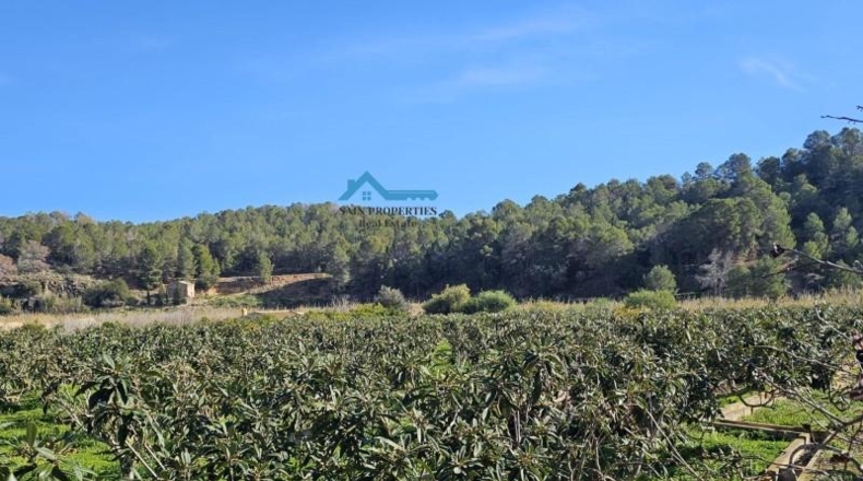 Alicante - Altea - 4220m2