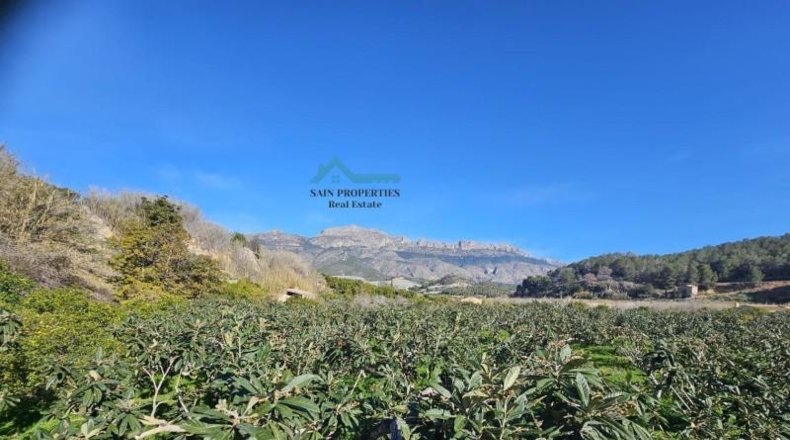 Alicante - Altea - 4220m2