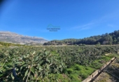Земля на продажу у города Altea Фото