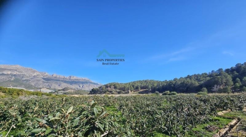 Alicante - Altea - 4220m2