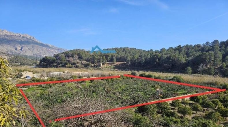 Alicante - Altea - 4220m2