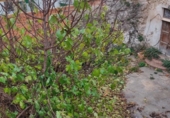 Village house for sale on España, Almansa, ref: TR301832 photo