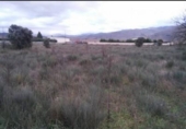 Chalet independiente con terreno en venta en la España, Carracedelo, ref: TR295866 foto