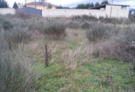 Carracedelo 6000&nbsp;m² 