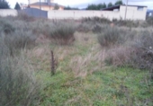 Chalet independiente con terreno en venta en la España, Carracedelo, ref: TR295866 foto