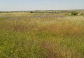 Земля на продажу у города Montornès de Segarra Фото