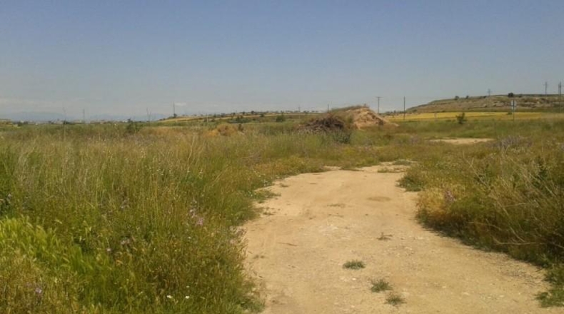 Lerida - Montornès de Segarra - 4814m2