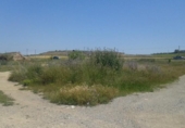Земля на продажу у города Montornès de Segarra Фото