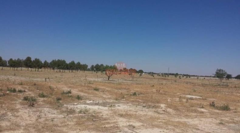 Albacete - Albacete - 36157m2