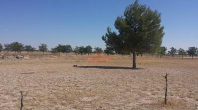 Albacete - Albacete - 36157m2