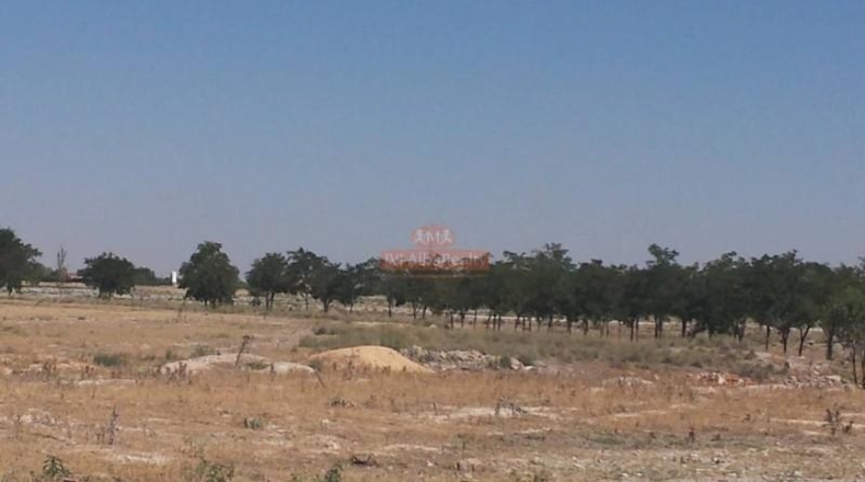 Albacete - Albacete - 36157m2