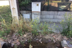 Foto 13