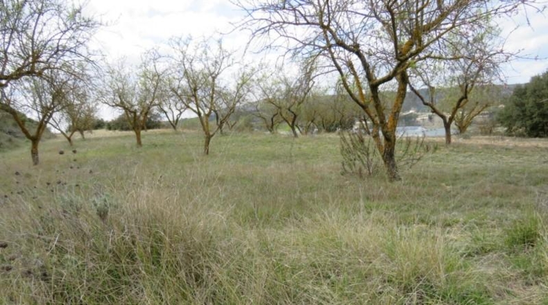 València - Bocairente - 10800m2
