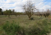 Terreny no urbanitzable en venda a la España, Bocairent, ref.: TR120468 foto