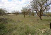 Terreny no urbanitzable en venda a la España, Bocairent, ref.: TR120468 foto