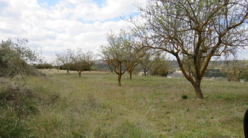 València - Bocairente - 10800m2