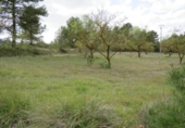 Terreny no urbanitzable en venda a la España, Bocairent, ref.: TR120468 foto