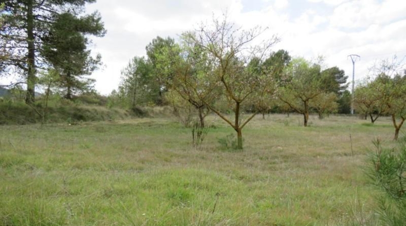 València - Bocairente - 10800m2