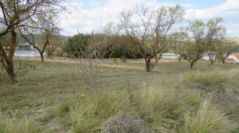 València - Bocairente - 10800m2