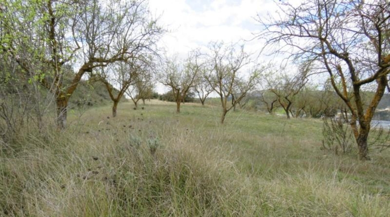 València - Bocairente - 10800m2