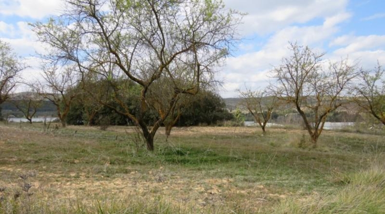 València - Bocairente - 10800m2