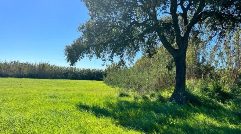 Cádiz - Vejer de la Frontera - 4173m2