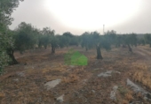 Terreno no urbanizable en venta en la España, Montijo, ref: TR321294 foto