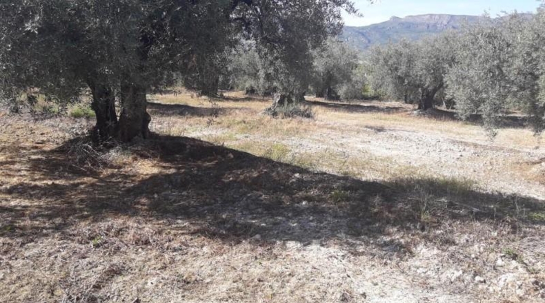 Murcia - Moratalla - 2900m2