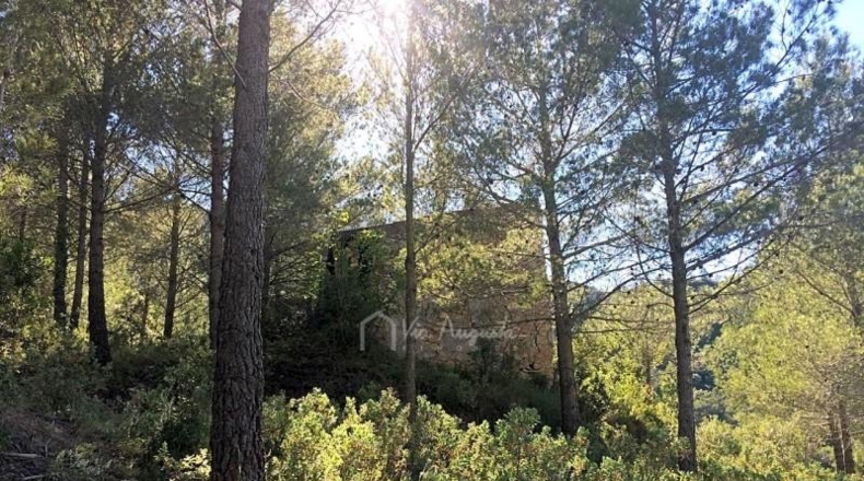 Tarragona - Vandellòs - 59155m2