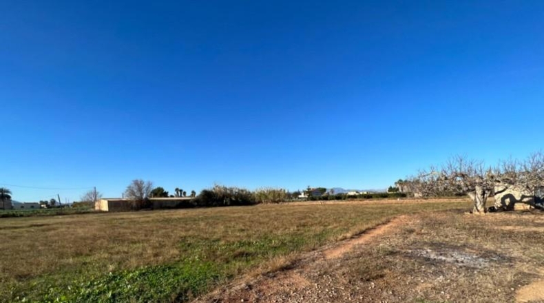Tarragona - Camarles - 4551m2