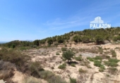 Casa de camp amb terreny en venda a la España, Crevillent, ref.: TR295055 foto
