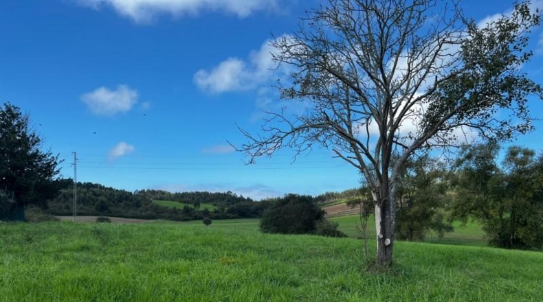Asturias - Oviedo - 3192m2