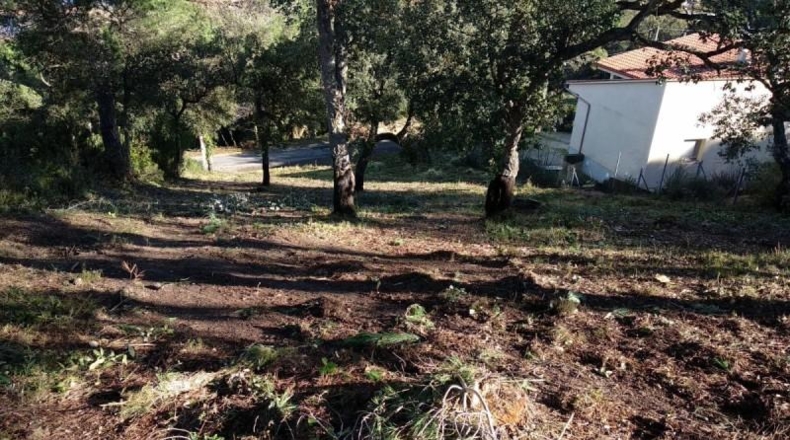 Gerona - Maçanet de la Selva - 1200m2