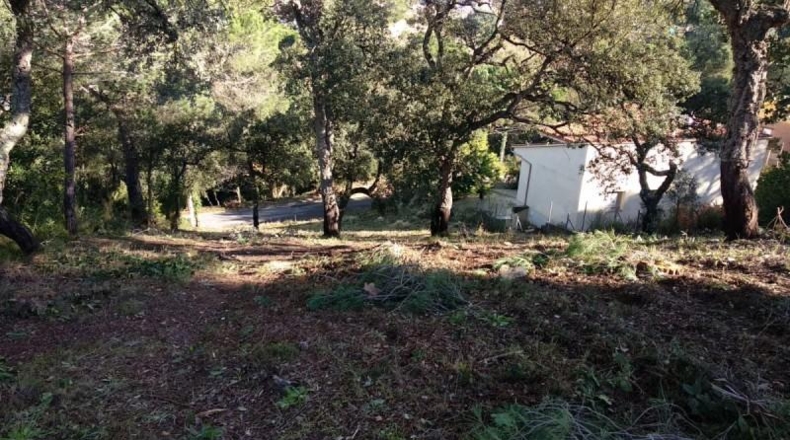 Gerona - Maçanet de la Selva - 1200m2